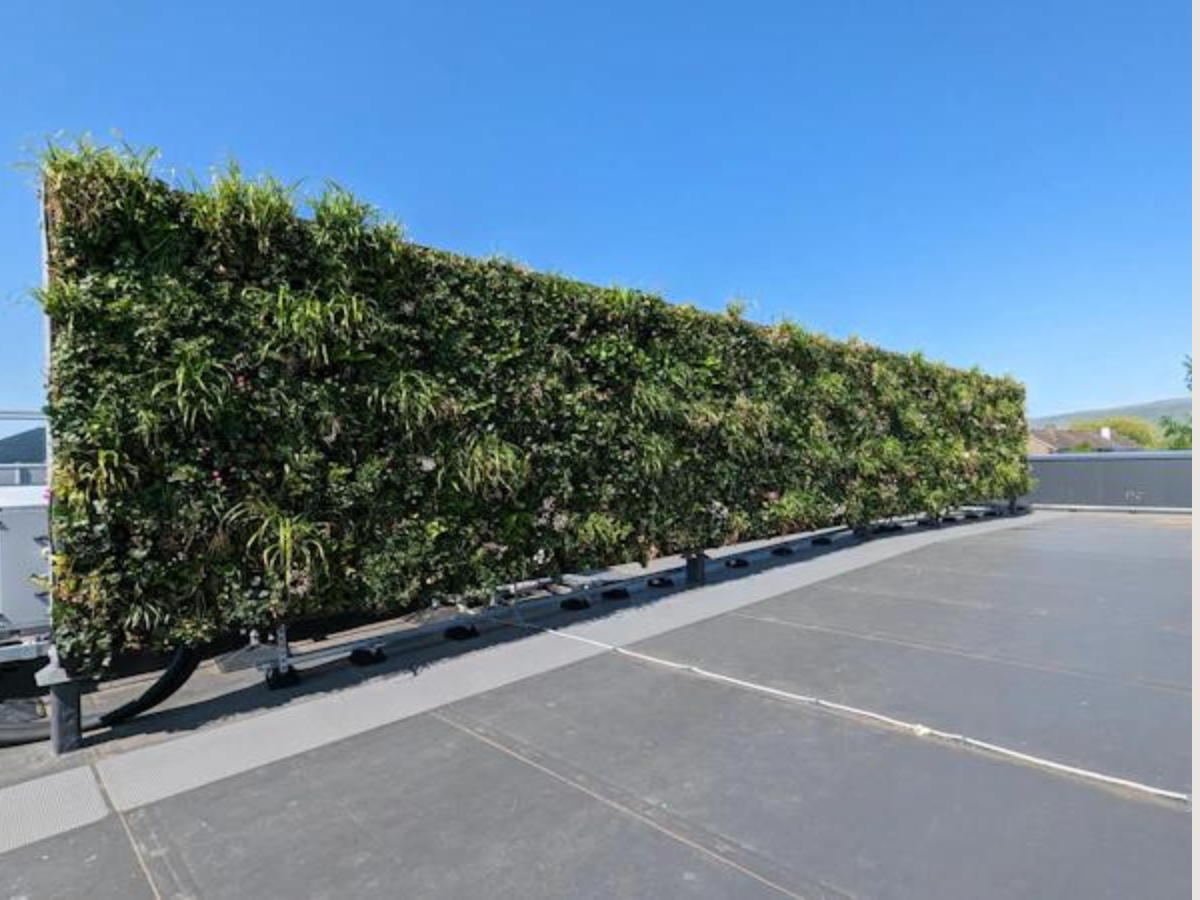 Green Walls Improving Pollution and Health